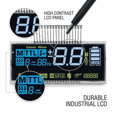Monochrome LCD Display