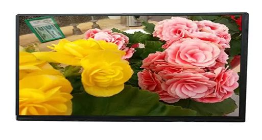 10.1" Transmissive LCD TFT Display Full Viewing Angle LVDS Interface 40 Pins