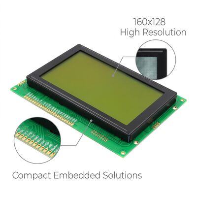 6 O'clock Monochrome LCD Panel , Dot Matrix LCD Display 160x128