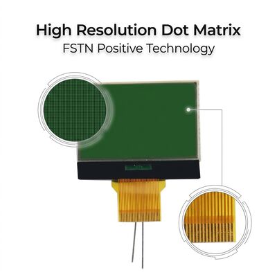 Custom Segment LCD Display 128x128 DOTS  FSTN Positive Transflective