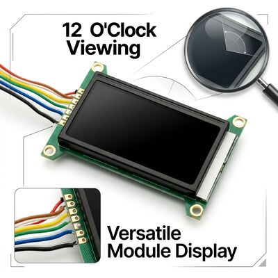HT1621 Οδηγός IC VA LCD Display Module Μαύρο 5V Με Κατεύθυνση Θέασης 12 Η Ώρα